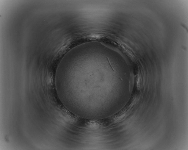 X0000091910608200709121518