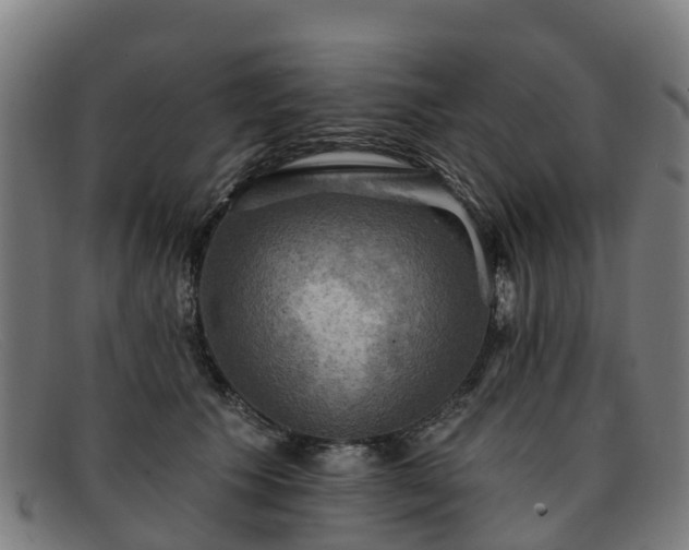 X0000091910609200709121518