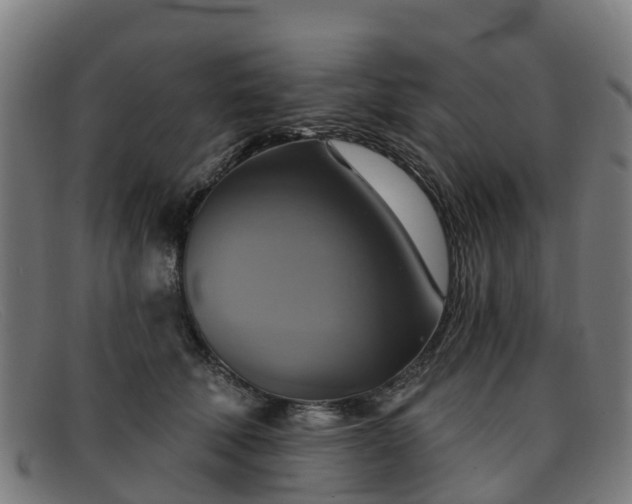 X0000091910610200709121518