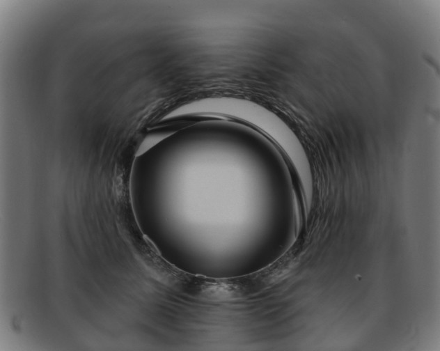 X0000091910611200709121518