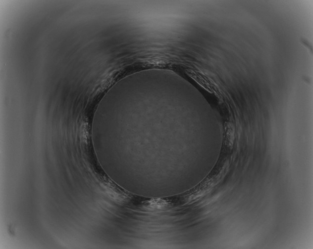 X0000091910612200709121518