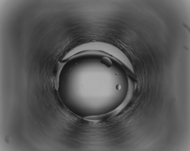 X0000091910613200709121518