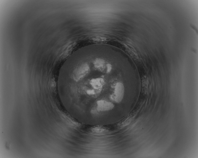 X0000091910614200709121518