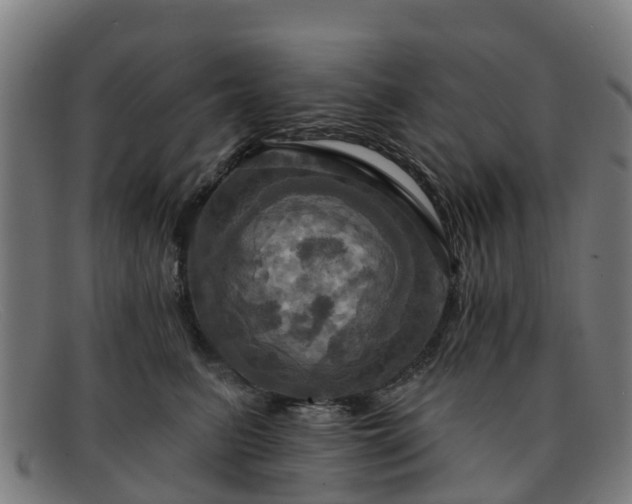 X0000091910615200709121518