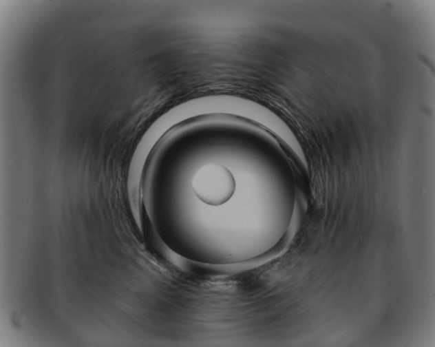 X0000091910617200709121518