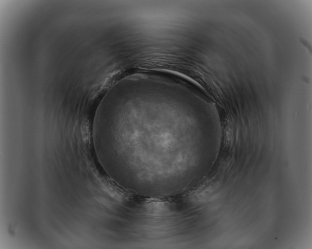 X0000091910620200709121518