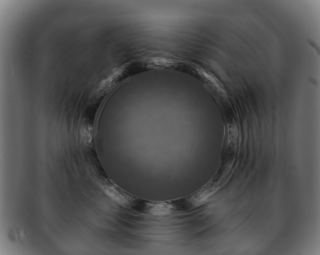 X0000091910621200709121518