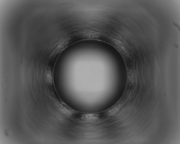 X0000091910622200709121518