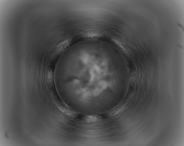 X0000091910623200709121518