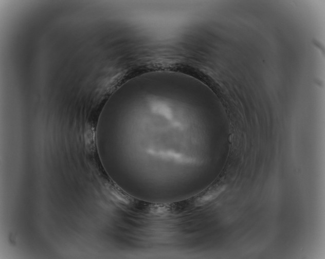 X0000091910624200709121518