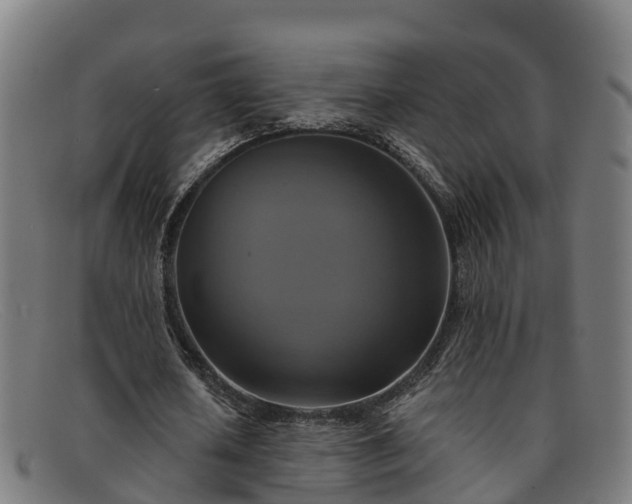 X0000091910626200709121518