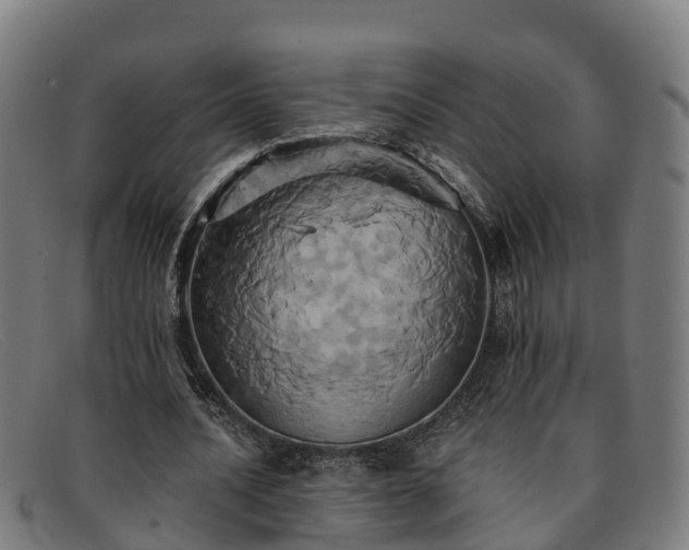 X0000091910628200709121518