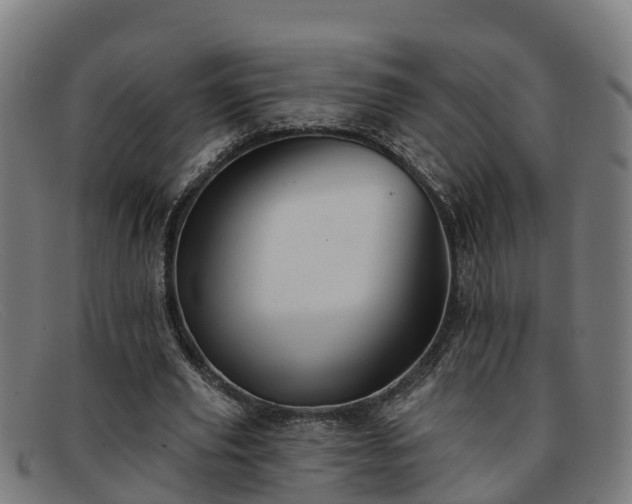 X0000091910629200709121518