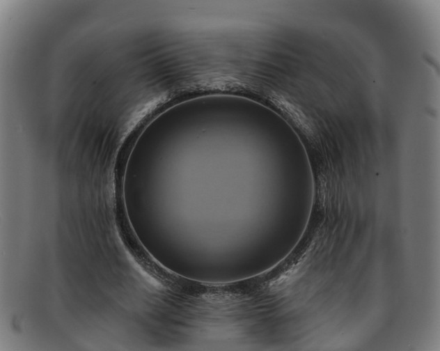 X0000091910630200709121518