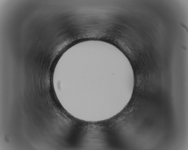 X0000091910632200709121518