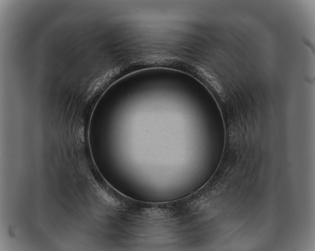 X0000091910633200709121518