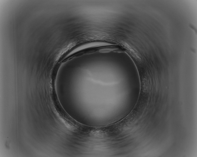 X0000091910634200709121518