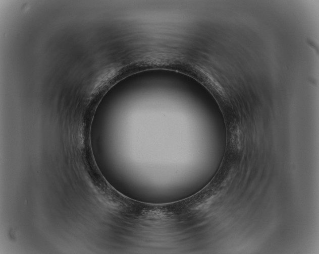 X0000091910635200709121518