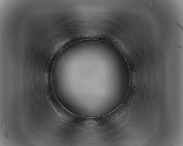 X0000091910636200709121518