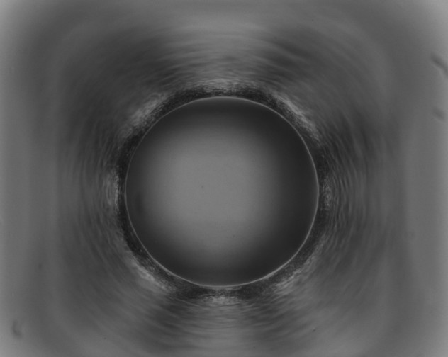 X0000091910637200709121518