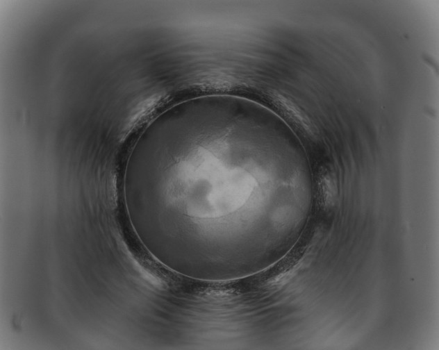 X0000091910638200709121518