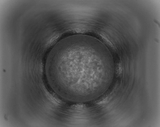 X0000091910639200709121518