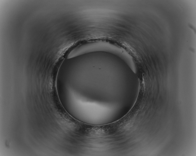 X0000091910640200709121518