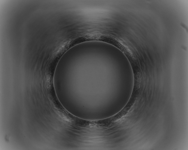 X0000091910641200709121518