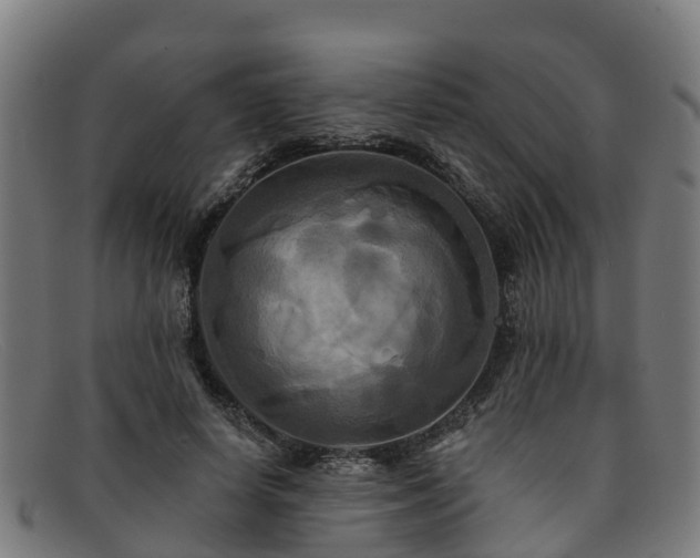 X0000091910642200709121518