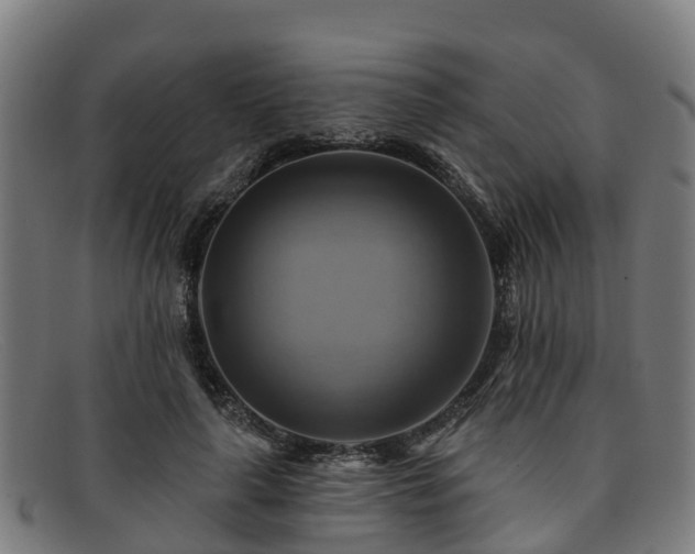 X0000091910643200709121518