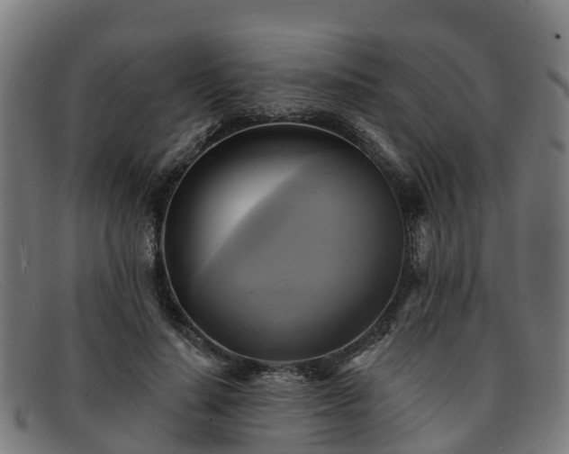 X0000091910644200709121518