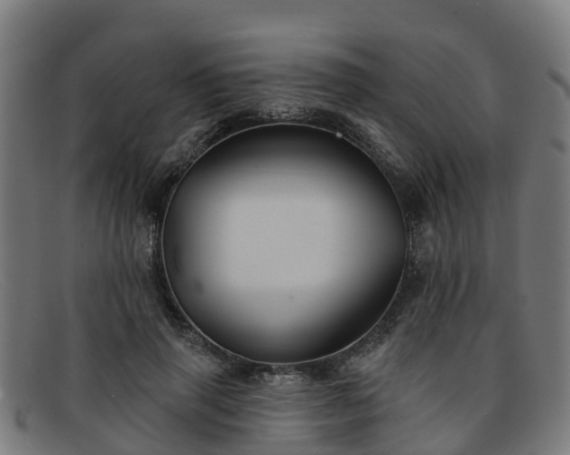 X0000091910645200709121518