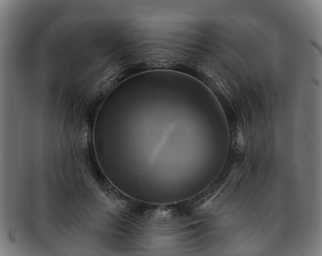 X0000091910647200709121518