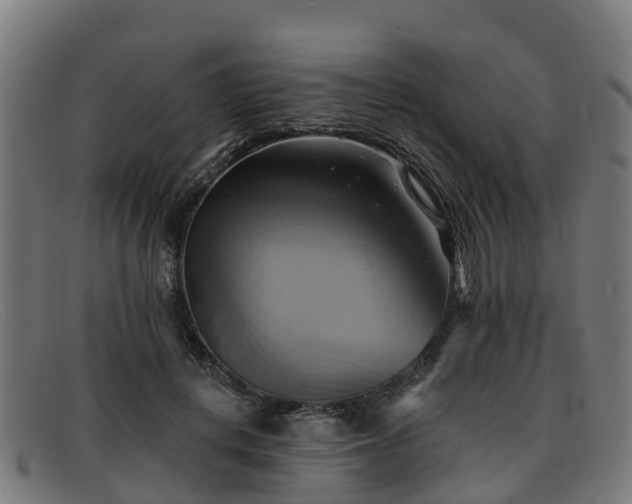 X0000091910648200709121518