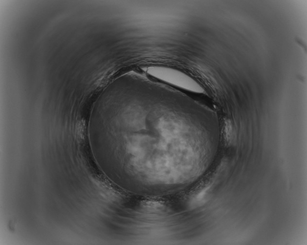 X0000091910649200709121518