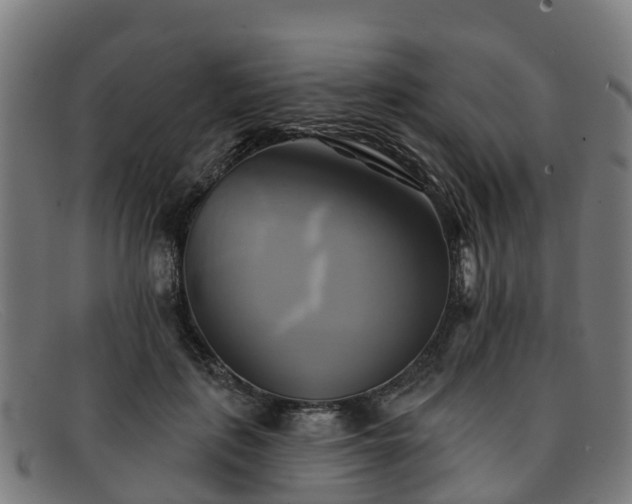 X0000091910651200709121518