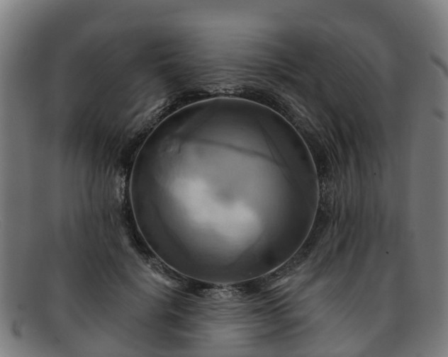 X0000091910652200709121518