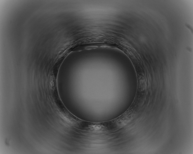 X0000091910654200709121518