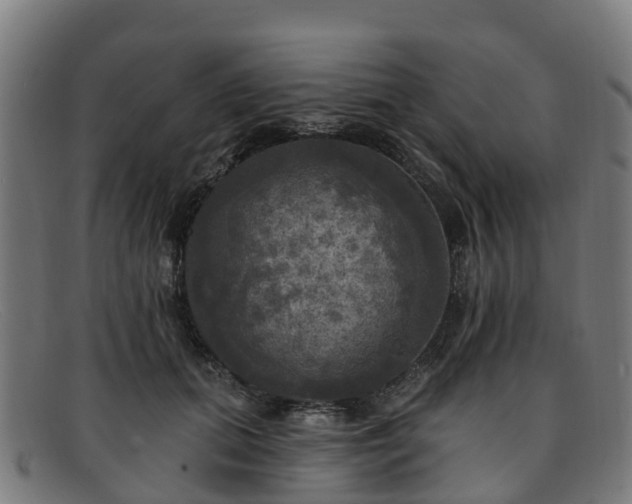 X0000091910655200709121518