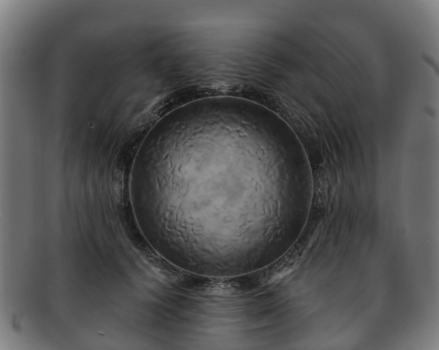 X0000091910656200709121518