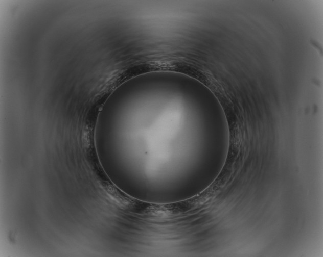 X0000091910658200709121518