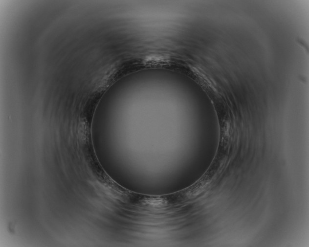 X0000091910659200709121518