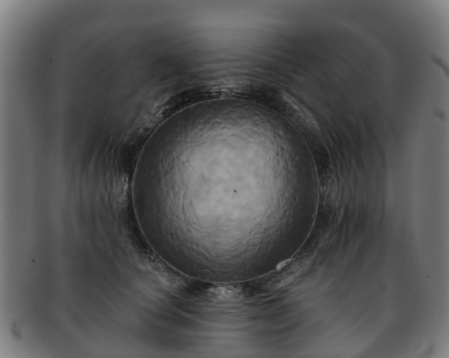 X0000091910660200709121518