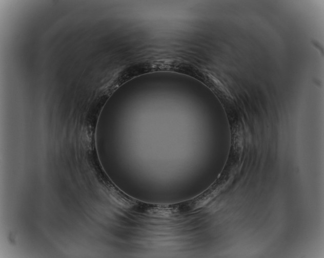 X0000091910661200709121518