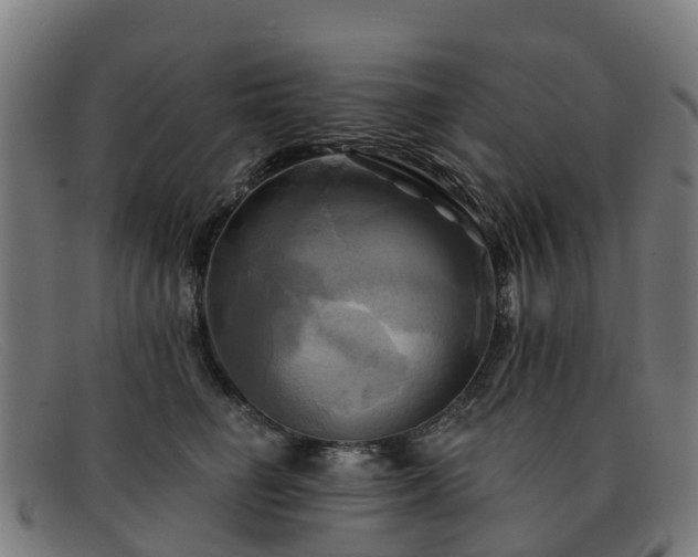 X0000091910662200709121518