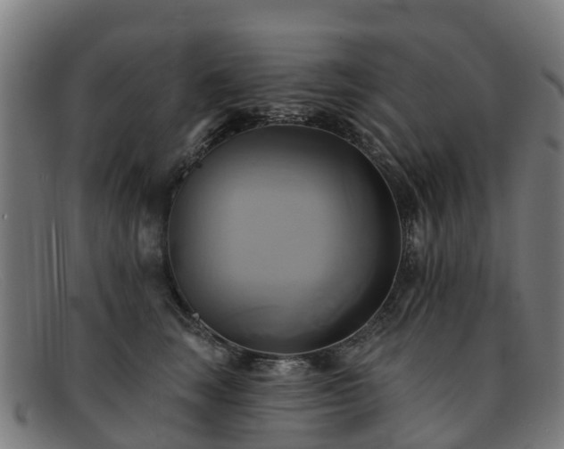 X0000091910663200709121518