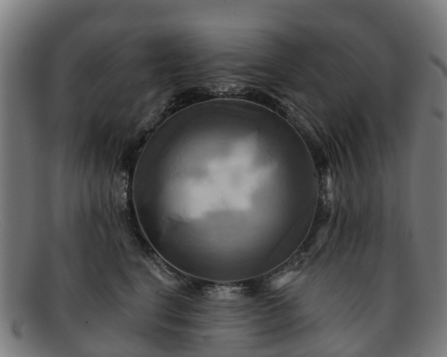 X0000091910664200709121518