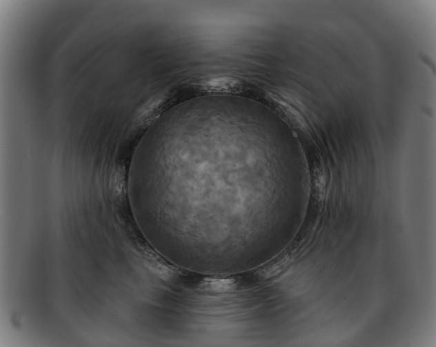 X0000091910665200709121518