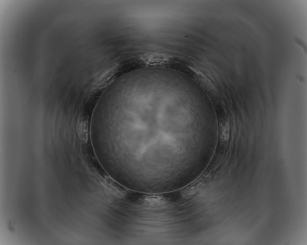 X0000091910666200709121518