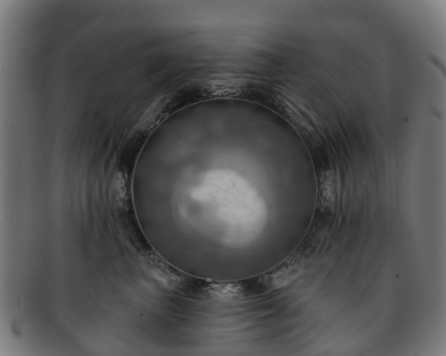 X0000091910667200709121518